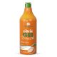 Natureza Cosmeticos Citric Brush 1 Liter