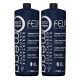 Felps Omega Zero Unique Resistance Nanoplastia Single Step 1 Liter 2 Units