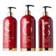 SOS Pro Hair Treatment Ana Paula Carvalho Set 3x1 Liter